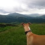 Tom - @tompolk - Instagram