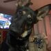 Tom Posey - Facebook