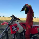 Tom Provost - @tpracing.mx - Instagram