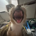 Tom Provost - @provost.t0m - Instagram