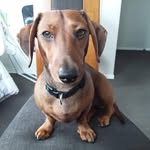 Tom Prowse - @tomprowse53 - Instagram