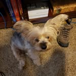 Tom Puckett - @tpuckett575 - Instagram