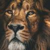 Rabeh Tomraider - @rabehtomraider - TikTok