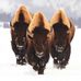 Tom Rabe - Facebook