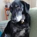 Tom Rae - Facebook