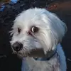 Tomáš Ragan - @t0mato2 - TikTok