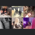 Tom.ralph.nugget.coco - @tom.coco.ralph.nugget.rolo - Instagram