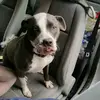 Thomas Ranieri - @thomasranieri681 - TikTok