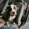 Thomas Ranieri - @thomas.ranieri80 - TikTok