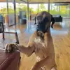 Tom Ranieri - @tomranieri873 - TikTok