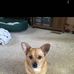 Tom Raymond - Facebook