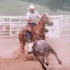 Tom Reeder - @tom.reeder - TikTok