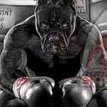 Tom Reimer - @reimer3428 - Instagram
