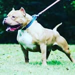Tom Reimers - @reimers_tom - Instagram