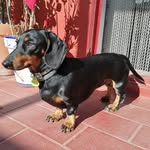 Tom Reina - @tomreina - Instagram
