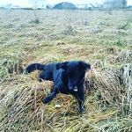 Tom Renner - @tom6796 - Instagram