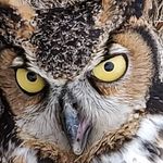 Tom Renner - @thomasrennerphotography - Instagram