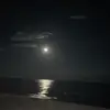 tommasorestivo4 - @tommasorestivo4 - TikTok