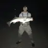Tommy Rhoads - @tommyrhoads0 - TikTok