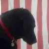tomrhoads - @tom152115 - TikTok