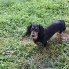 Tom Riggs - @tom.riggs4 - TikTok