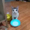 Rini Tomblo - @rini.tomblo - TikTok