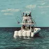 tommy_roach476 - @tommy_roach476 - TikTok
