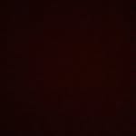 @tom____rogic - Instagram