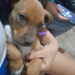 _tom_romeo_junco_ - @_tom_romeo_junco_ - Instagram