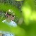 Tom Royer - Facebook