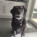 Tom Ruck - Facebook