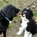 Tom & Rue - @theadventuresoftomandrue - Instagram