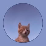 Tom Rumpf - @tom_rumpf - Instagram