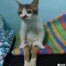 Tom Run - Facebook