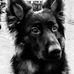 Tomasz Rybak - Facebook