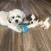Tom Sanchez - Facebook