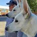 Thomas A Sappington - Facebook