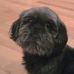 Thomas Sappington - Facebook