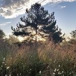 Tom Saxton - @colluvium - Instagram