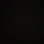 Tom Schaaf - @t.tooomm - Instagram