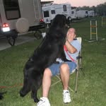 Tom Schenk - @tom.schenk.18 - Instagram