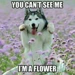 Tom Schindler - @tom.schindler.39 - Instagram