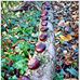 Tom Schmidt - Facebook