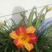 Tom Schowalter - Facebook