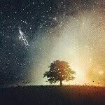 Tom Schumacher - @zecorahdesigns - Instagram