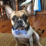 Tom Seaver - @tomtoursnola - Instagram