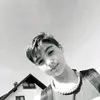 Tom seeger - @dnsgse - TikTok