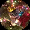TomSEll - @tomasz.soczwka - TikTok