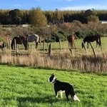 Tom Sellers - @tomsellers1973 - Instagram