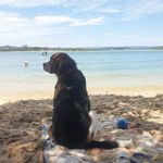 Tom Sellers - @sellers0701 - Instagram